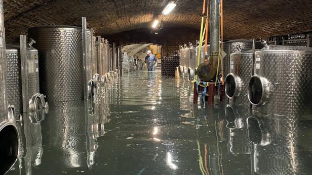 Wachauer Wein im Hochwasser: Vergoren in der Flut