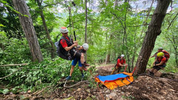 Hohe Wand: Paragleiter landete unsanft in den Bäumen