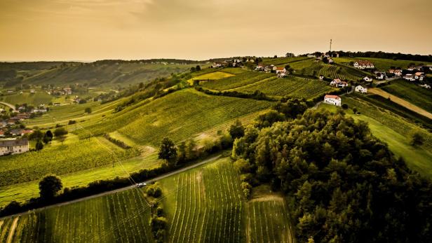 Alter Weißer aus dem Südburgenland mit neuem Namen