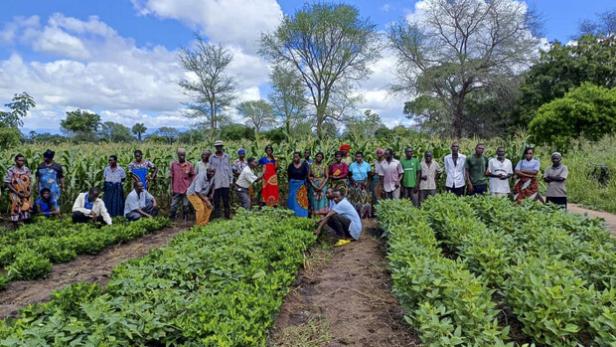 Klimakrise im südlichen Afrika: Neue Wege hin zu einer krisenfesten Ernährung für alle