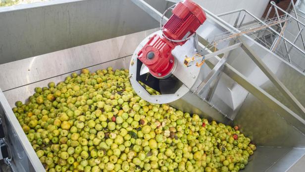 Steirischer Apfelsaft für 2,99 Euro: "Wer soll  denn das noch kaufen?"