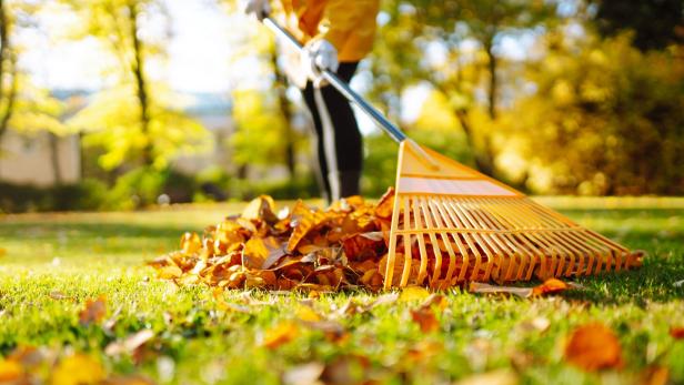 Der winterfitte Garten: 10 Arbeiten, die jetzt erledigt werden sollten