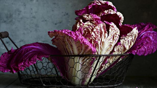 Ein lila Chinakohl in einem Drahtkorb.