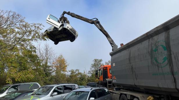 Aktion gegen illegale Altfahrzeugsammler in NÖ: 117 Fahrzeuge beschlagnahmt