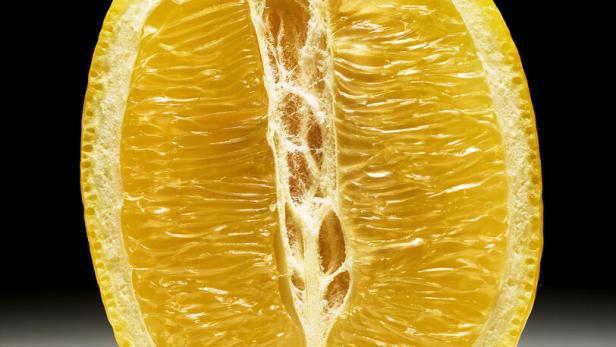 Eine aufgeschnittene Zitrone vor schwarzem Hintergrund. Das Fruchtfleisch ist schon etwas vertrocknet.