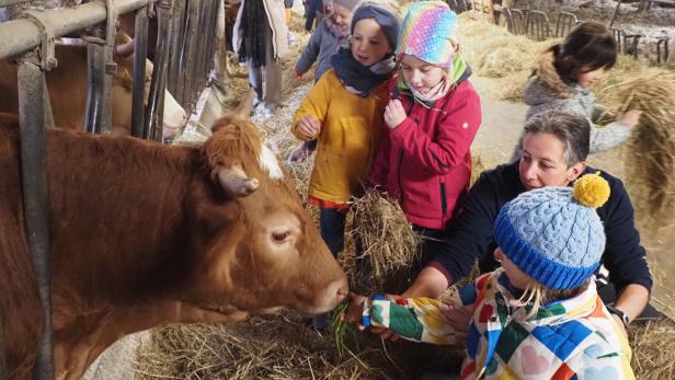 "Hallo, Kuhuuuu": Seit 25 Jahren gibt es die Schule am Bauernhof