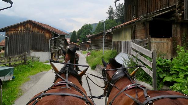 Kutschenunfall bei Leonhardiritt: Zwei Schwerverletzte in OÖ