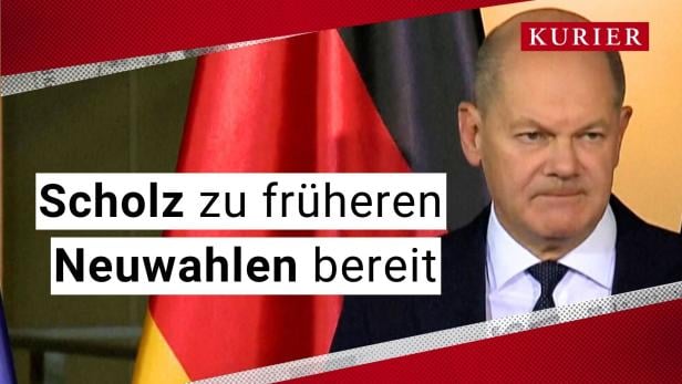 Scholz Neuwahlen