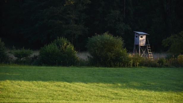 Symbolfoto: Hochstand in der Steiermark