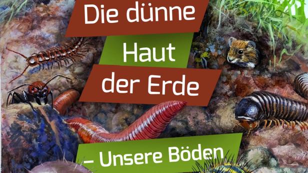 Gewinne Tickets für die Sonderausstellung „Die dünne Haut der Erde ­– Unsere Böden“ im NHM Wien!