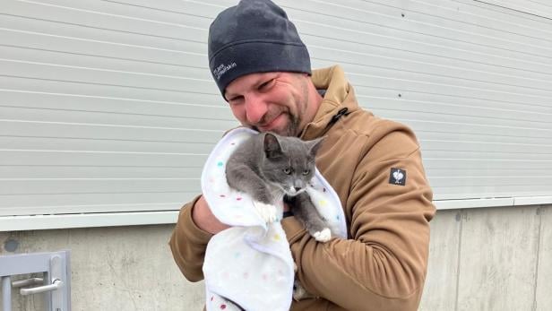 Die Feuerwehr Kleinmürbisch rückte am heutigen Sonntag (17.11.24) zu einem ungewöhnlichen Einsatz aus: Kater Tom, das Haustier ihres Kommandanten, war in einem Regenwasserrohr steckengeblieben und konnte nach einer stundenlangen Rettungsaktion befreit werden.