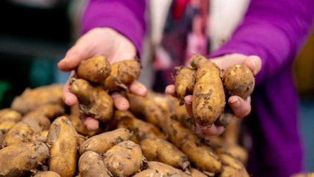 Kartoffeln gibt es in verschiedenen Typen, die sich nach Stärkegehalt unterscheiden.