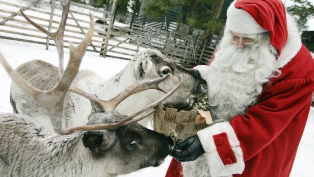 Der Weihnachtsmann füttert Rentiere aus einem Korb.