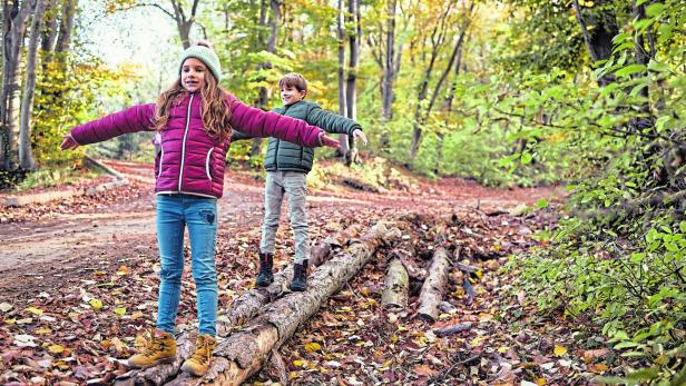 Waldpädagogik: Wie man (Stadt-)Kinder für die Natur begeistert