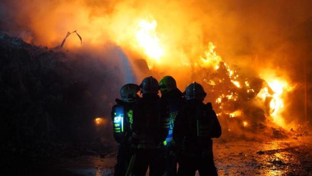 Brand im Industriezentrum NÖ forderte Einsatzkräfte