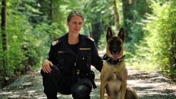 Polizeihund "Poko" erschnüffelte Drogenverstecke in der Steiermark