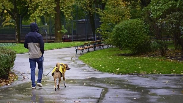 Kuriosum: Wiener „Hunde-Sheriffs“ ohne Gackerl-Lizenz