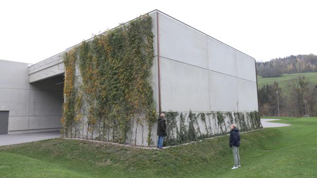 Ein graues einstöckiges Gebäude mit Begrünung an der Fassade. Davor eine Wiese mit zwei Personen.