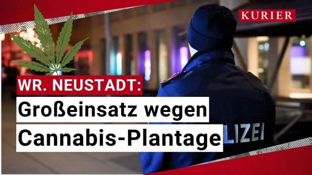 Großeinsatz wegen Cannabis-Plantage