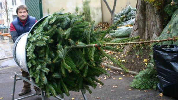 Warum ein heimischer Christbaum die bessere Wahl ist