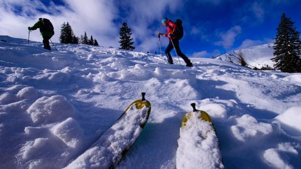 Skispitzen im Schnee und bei einer Skitour in Wagrain-Kleinarl