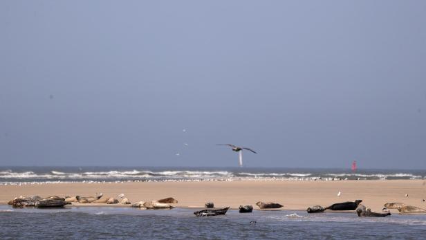 Crowded North Sea island Borkum