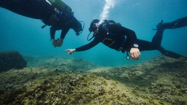 Taucher kontrollieren illegale Muschelernte in Italien: Am 20. Mai  trat die neue EU-Richtlinie  in Kraft 