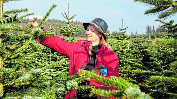 Marlene Kain unter ihren Christbäumen in Löwengrub 7, St. Agatha