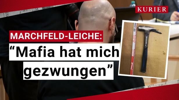 Zerstückelte Leiche im Marchfeldkanal: "Mafiöse Hintergründe"?