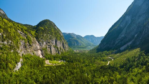 Wald und Berge bilden die Grundlage für Österreichs Biomasse- und Wasserreichtum