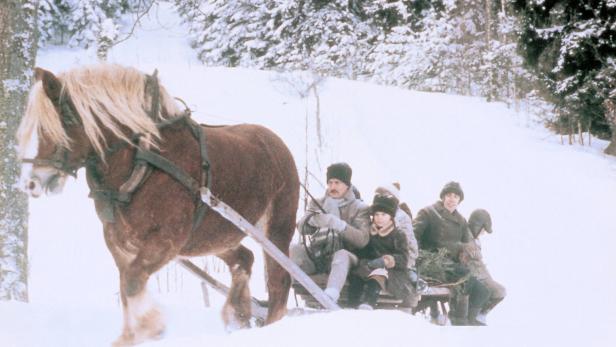 Ein Pferd zieht einen Schlitten mit einer Familie durch eine verschneite Winterlandschaft.