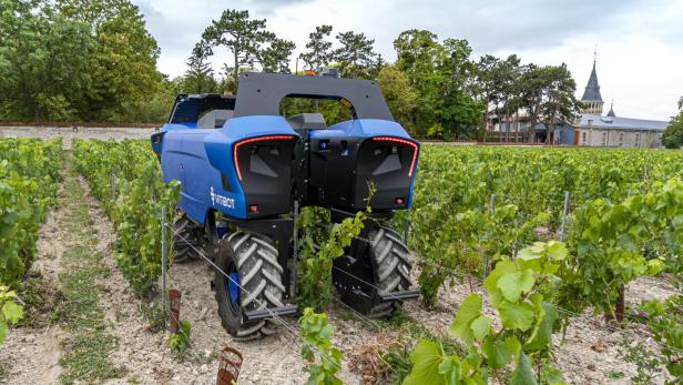 Akkus für Bacchus: Ein Roboter soll im Burgenland bei der Weinlese helfen