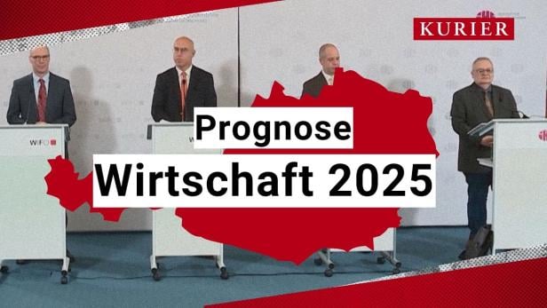 Österreich 2025: Wirtschaftserholung oder Gefahr durch Sparmaßnahmen?