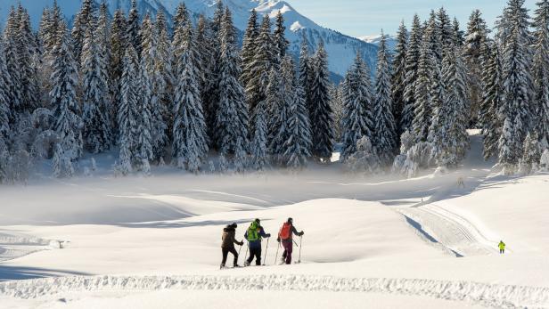 Winter-Wandern ist das neue Skifahren: die beste Routen Österreichs