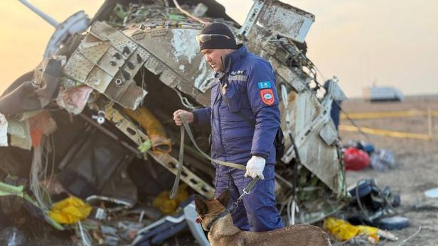 Kollision mit Vogelschwarm? Offene Fragen nach Flugzeugabsturz mit 38 Toten