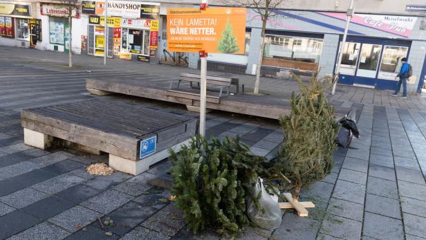 An diesen Sammelstellen können Christbäume in Wien entsorgt werden