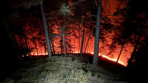 200 Einsatzkräfte: Schwierige Bekämpfung von Waldbrand in Graz-Umgebung