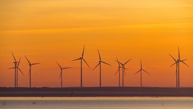 Windräder in der Abendsonne 