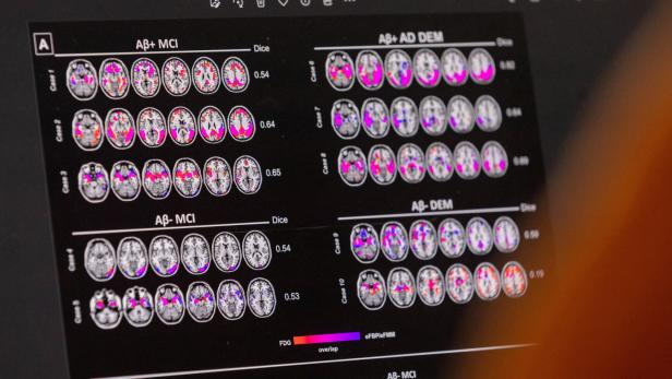 Wissenschaft bringt Gesundheit