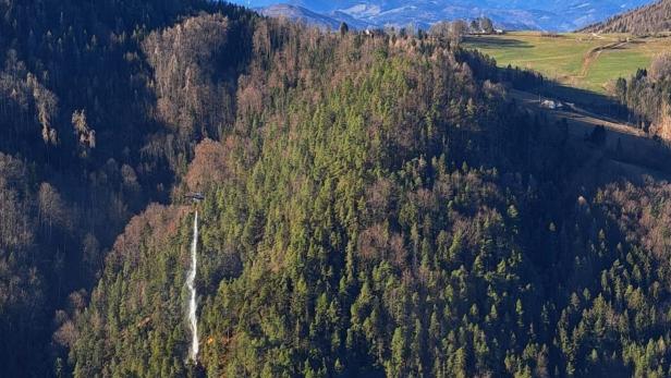 Hartberg: 58-jähriger Steirer bei Holzarbeiten von Baumstamm erschlagen