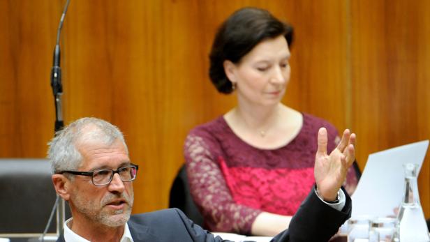 Der Bildungssprecher der Grünen, Harald Walser, hat ein Angebot für Bildungsministerin Gabriele Heinisch-Hosek