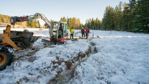 Drohende Austrocknung: Naturschutzbund rettet Waldviertler Moor