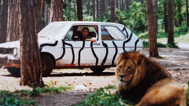 Alles für die (große) Katz: Letzter Löwe des Safariparks Gänserndorf gestorben