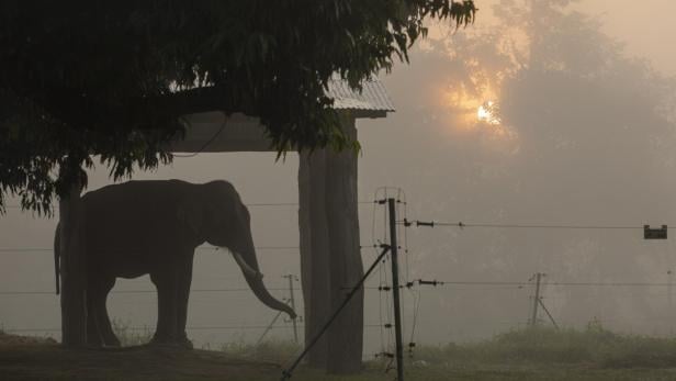 Wildlife tourism in Nepal