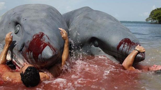 Zwei Männer liegen im blutigen Wasser neben zwei toten Walen am Strand.
