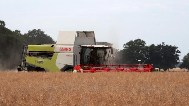 GERMANY-AGRICULTURE-FARMING-GRAIN-CROPS-COLZA