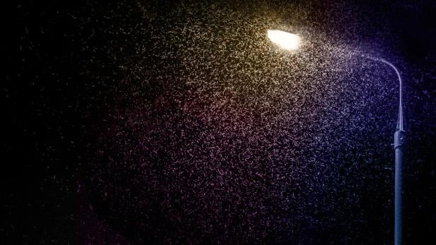 Snow and rain under the street lamp at night.