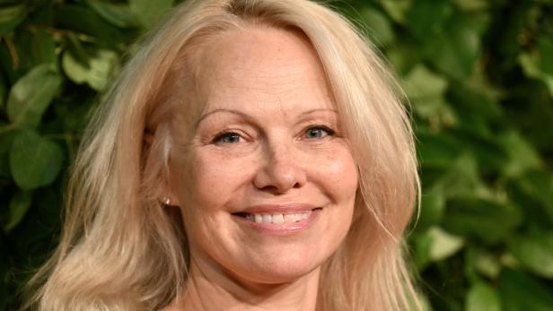 Pamela Anderson wurde für Teil des Trios Dixie Chicks gehalten