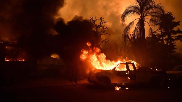 4 Gründe, warum sich die Brände in Los Angeles so schnell ausbreiten