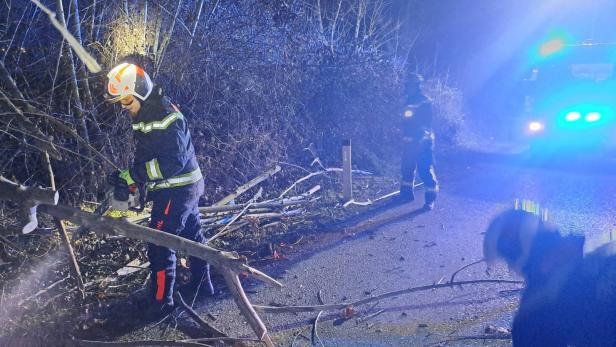 Sturm: Knapp 200 Einsätze in Wien und Niederösterreich